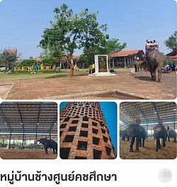 บริการนำเที่ยวหมู่บ้านช้างในจังหวัดสุรินทร์